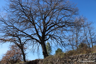 Grotta Comune monte Ilice